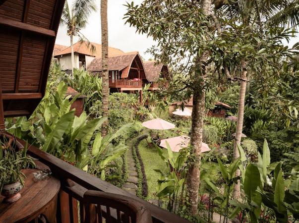 The Jungle Ubud
