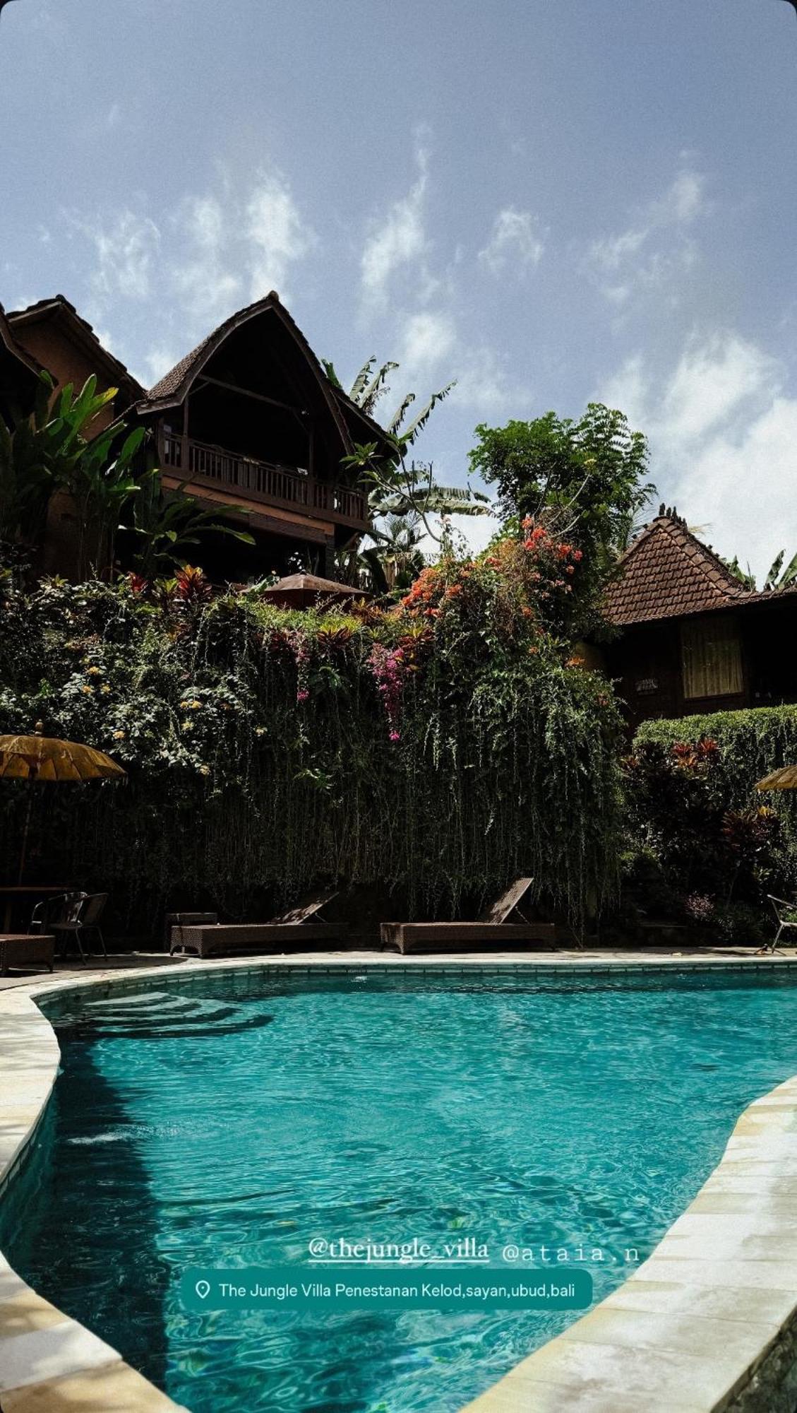 The Jungle * Ubud