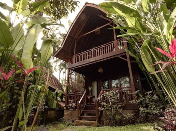 The Jungle Villa Ubud (Bali)
